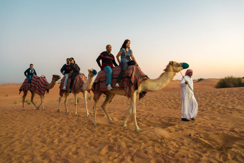 Dubai Skyline & Desert Escape