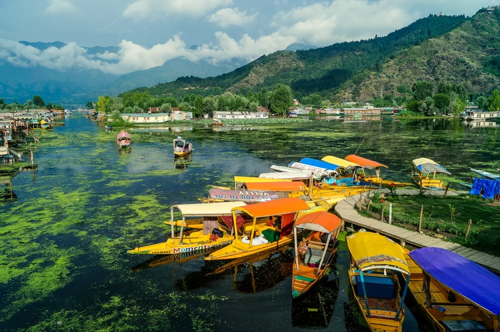 Kashmir Alpine Valley Experience