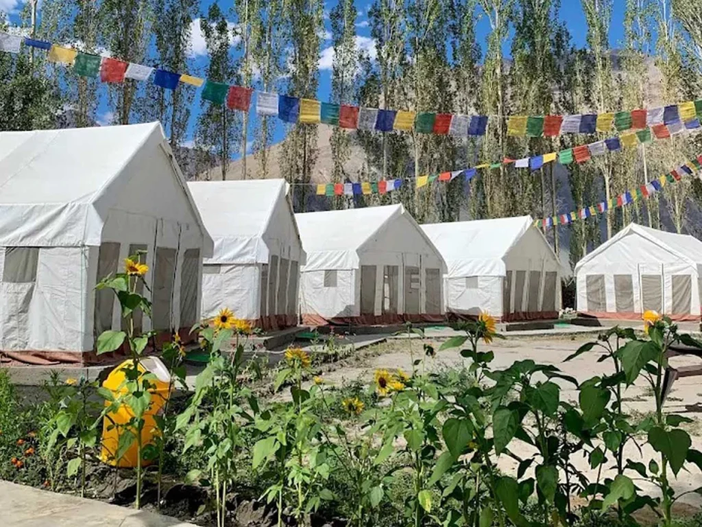 Laschen Camp